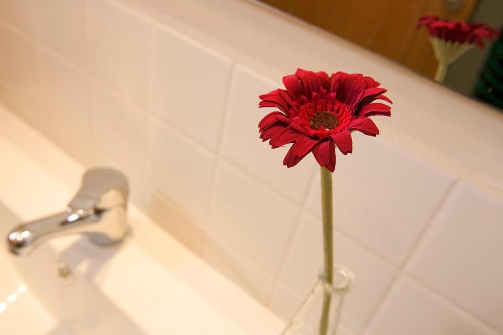 Apartaments Rural Montseny Gualba de Dalt Luaran gambar