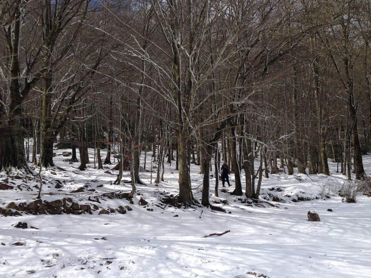 Apartaments Rural Montseny Gualba de Dalt Luaran gambar